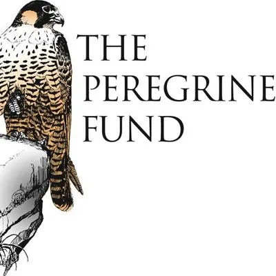 The Peregrine Fund logo