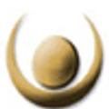 Perfection Cosmetics logo