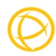 Perle  Systems logo
