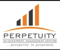 Perpetuity Ventures logo