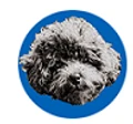 Pet Stop Store logo