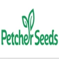Petcher Seeds logo