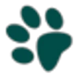 Pets League