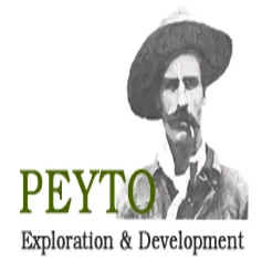 Peyto logo