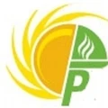 Pfister Energy logo
