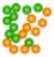 Phenotype Screening logo