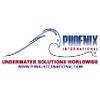 Phoenix International logo