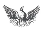 Phoenix Management Services logo