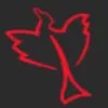 Phoenix Packaging logo
