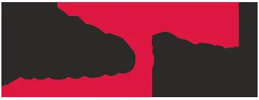 Photonfocus logo