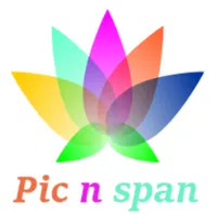 Pic n Span logo