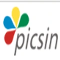Picsin