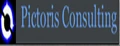 pictoris consulting