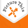 Picture This Clothing logo