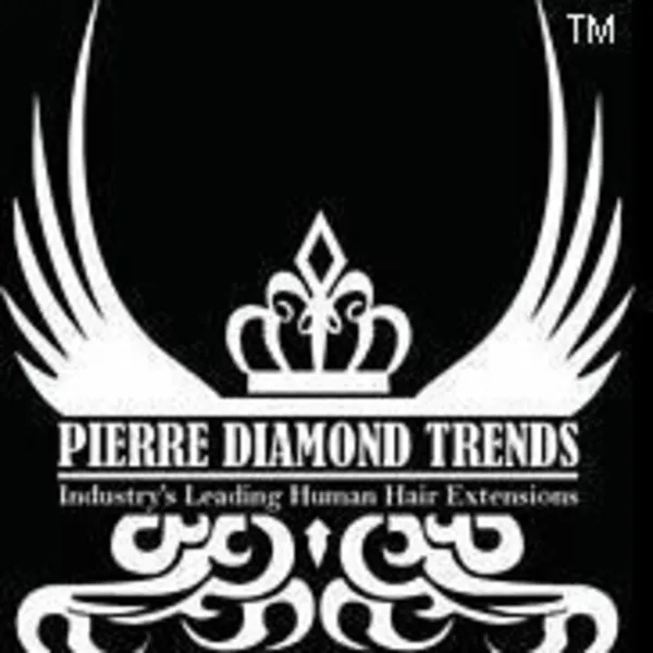Pierre Diamond Trends logo