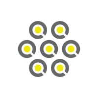 Pi Imaging Tehnology logo