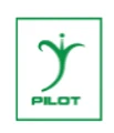 Pilotsmith India