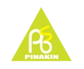 PINAKIN Business Solutions