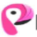 Pinkiz logo