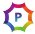 PINNACLE IT SOLUTIONS logo