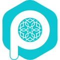 PinPars logo
