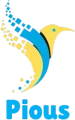 Pious IT Services