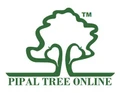Pipal Tree