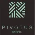 Pivotus Ventures logo