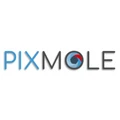Pixmole Technologies logo