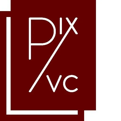 Pix Vine Capital logo