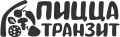 Pizza Transit logo