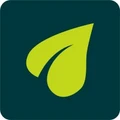 planeed