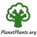 Planet Plants logo