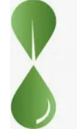 Plant Lipids logo