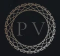 Platin Ventures
