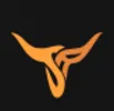 Platinum Infosystems