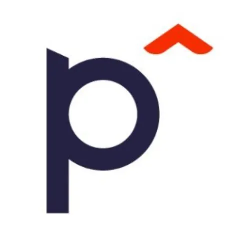 Playto Labs logo