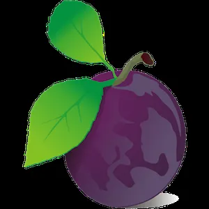 Plum Infinity logo