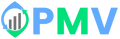 PMV Management Consulting