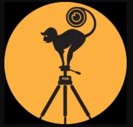 POD logo