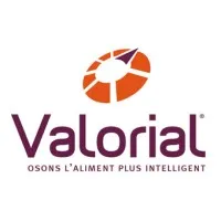 Pole-Valorial logo