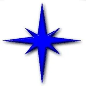 Polestar Capital Partners logo