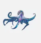 Polipo Ventures logo