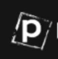 POLLENZO logo
