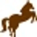 Polo Industries