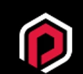 Polygon Bikes logo