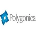 Polygonica logo
