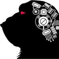 Portfolio Monkey logo