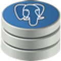 Postgresql Backup logo