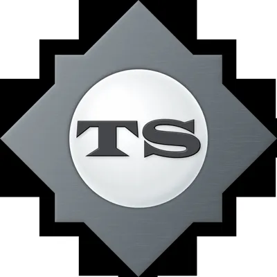 Transformational Security logo